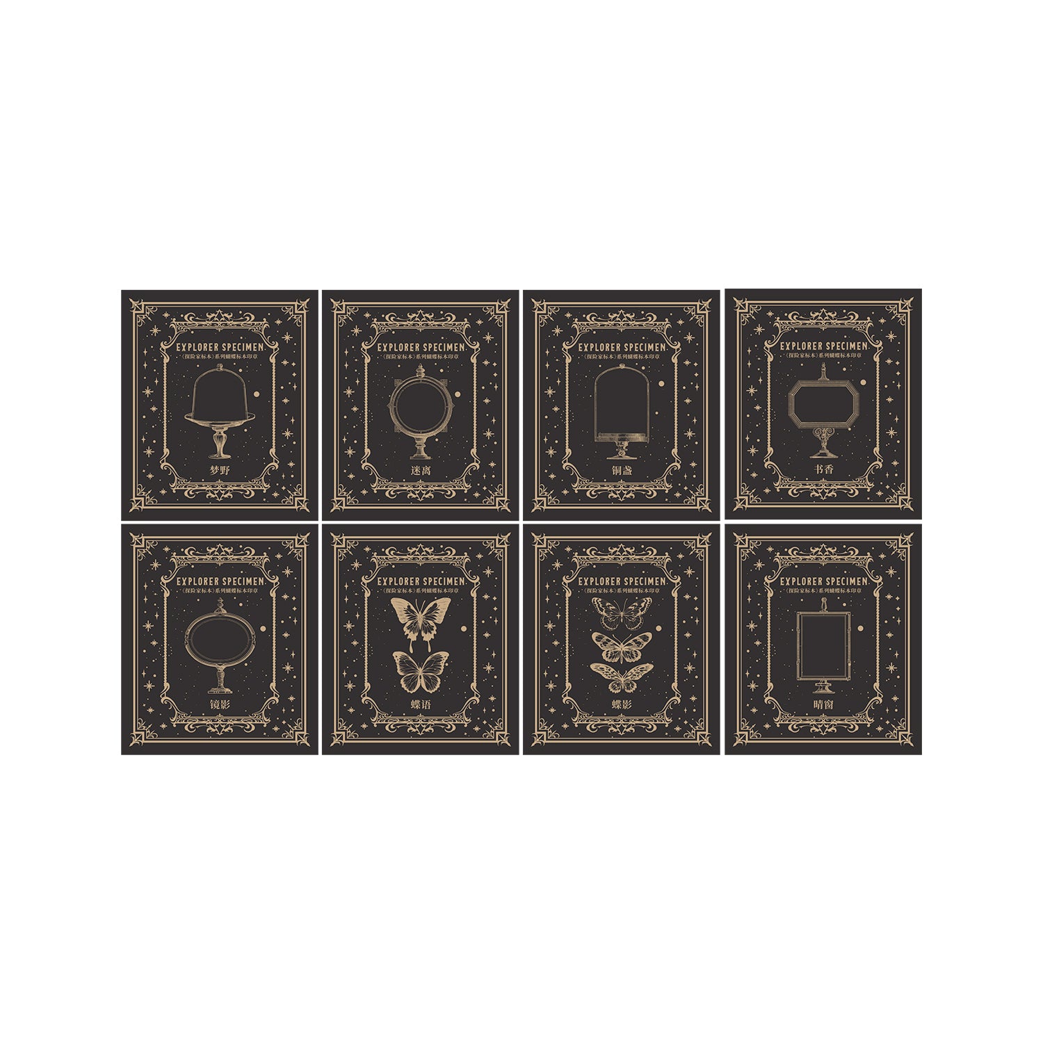 Explorer's Specimens Wooden Stamp